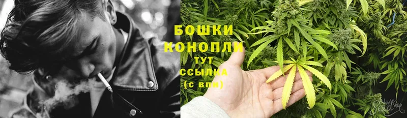 Шишки марихуана SATIVA & INDICA  Ефремов 